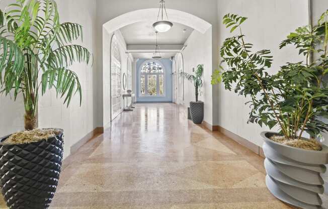 a hallway with potted plants and white walls and a blue door