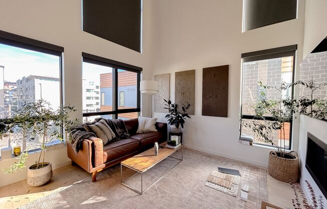 LoHi Urban Oasis