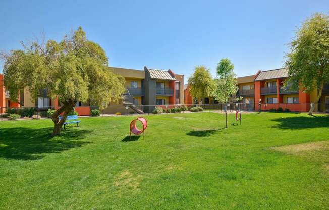 Large, grassy dog park for residents of pet-friendly Onnix Apartments in Tempe, AZ