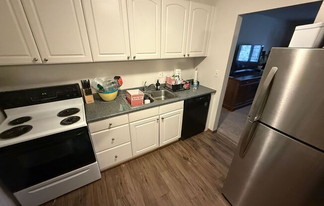 Williamsburg Flats 215