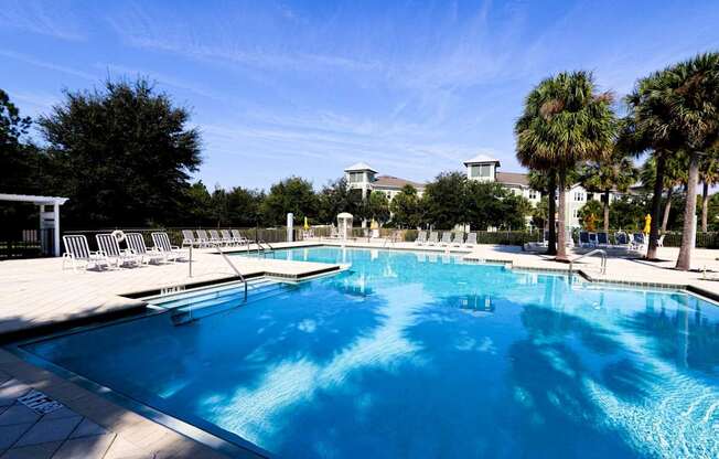 A large swimming pool with lounge chairs and palm trees in the background.