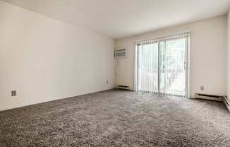 A room with a carpeted floor and a sliding glass door