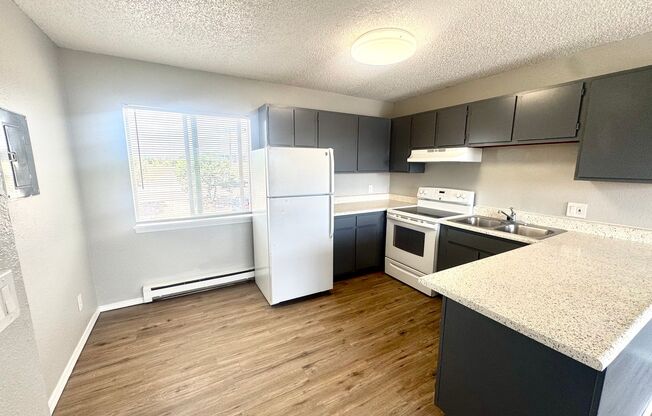 1 bed, 1 bath, 445 sqft, $895, Unit Unit U