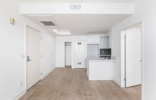 Studio, 1 bath, $1,925, Unit 101