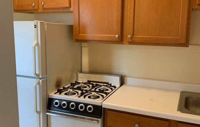 Studio, 1 bath, $795