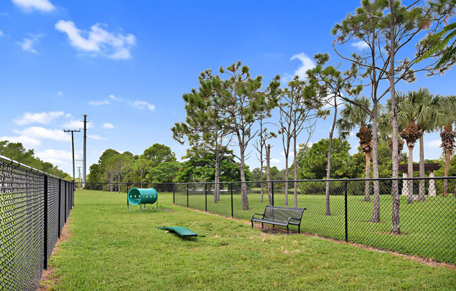 Dog Park | Floresta