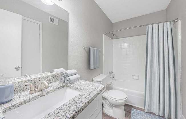 a bathroom with a sink and a toilet and a shower