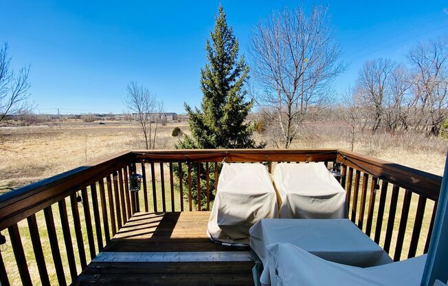 Plymouth 3Br 3 bath Townhome with Wetland views!