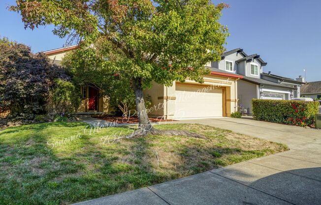 Beautiful 4 Bed/3 Bath House with a Solar Roof ~