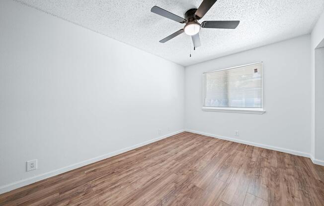 1 bed, 1 bath, 600 sqft, $899