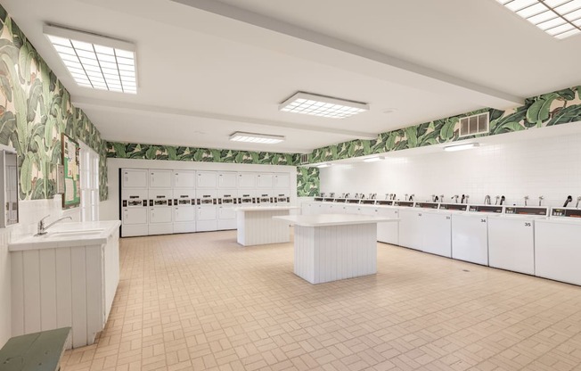 A spacious community laundry room with green floral wallpaper