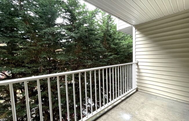 Studio, 1 bath, 413 sqft, $1,150, Unit 307