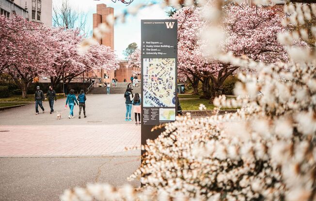 Studio, 1 bath, 330 sqft, $1,789, Unit 201