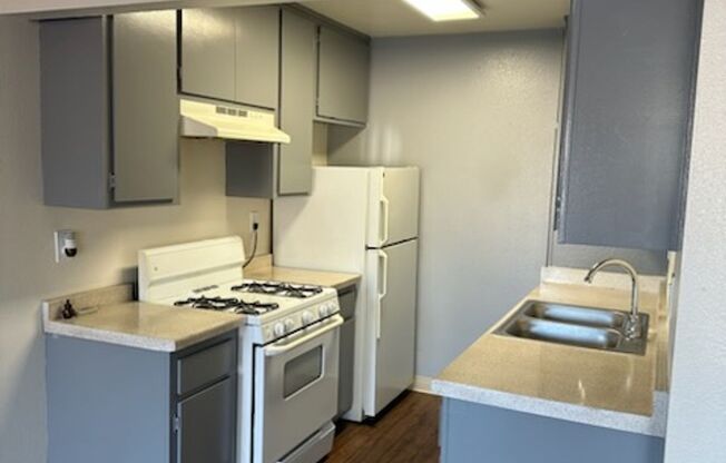 Studio, 1 bath, 500 sqft, $1,395, Unit 66