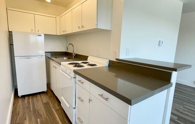 Studio, 1 bath, 370 sqft, $1,325, Unit 307