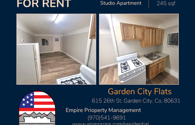 Studio, 1 bath, 275 sqft, $895, Unit 4