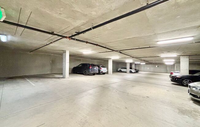 Studio, 1 bath, 547 sqft, $1,495, Unit 205