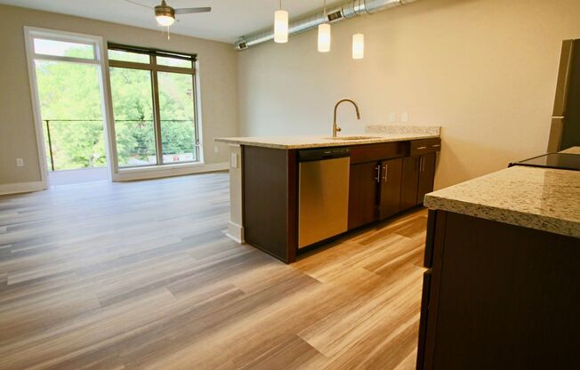 1 bed, 1 bath, 605 sqft, $1,495, Unit APT 539