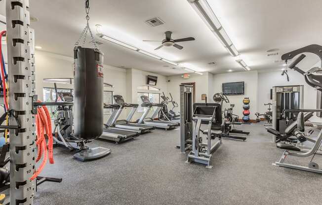 A well-equipped gym with a variety of exercise machines and a punching bag.