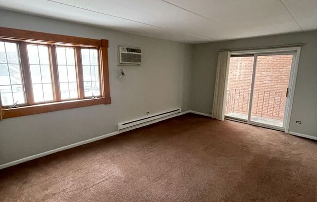 1 bed, 1 bath, 700 sqft, $1,250, Unit 101