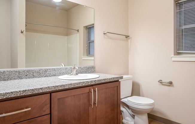 the preserve at ballantyne commons apartment bathroom with sink toilet and mirror