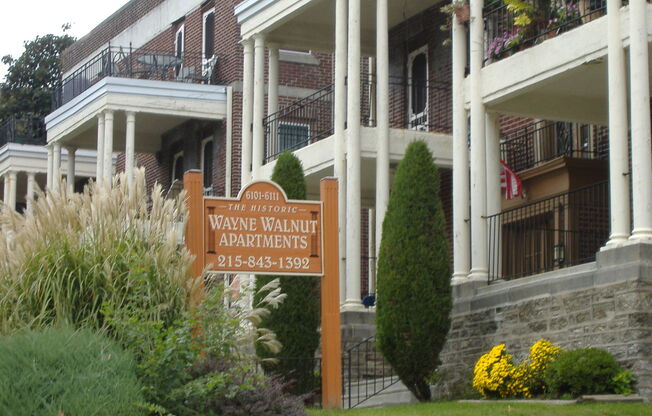 104-Wayne Walnut
