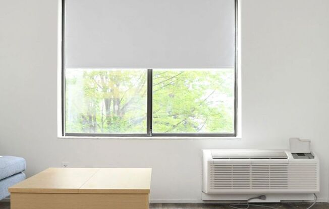 1 bed, 1 bath, 495 sqft, $1,650