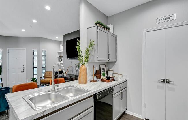 a kitchen with a sink and a counter top