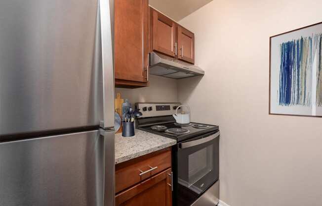 our apartments have a modern kitchen with stainless steel appliances