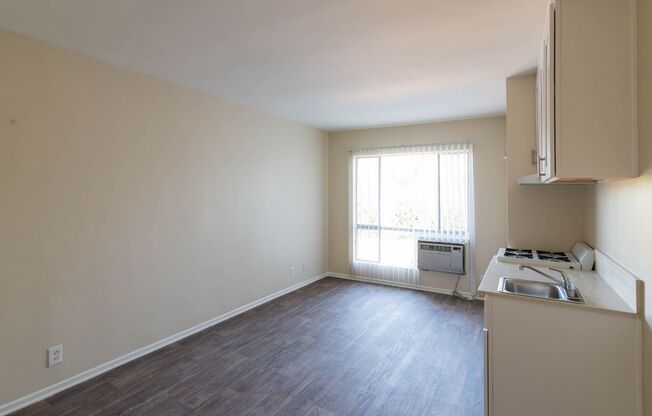 Studio, 1 bath, 252 sqft, $1,350, Unit 29