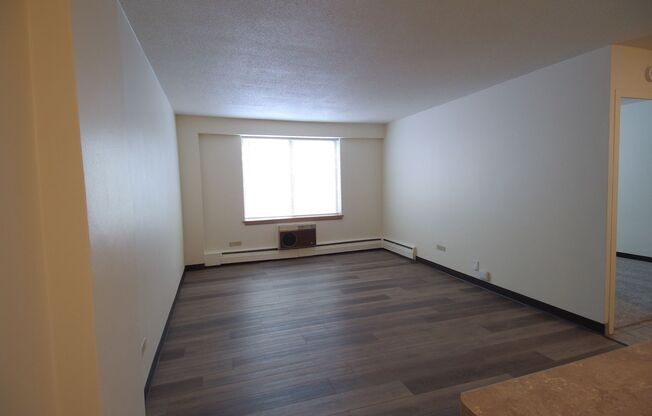 1 bed, 1 bath, 620 sqft, $1,195, Unit 207