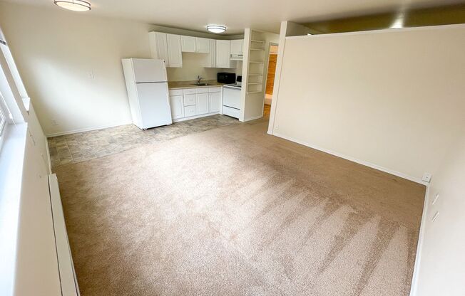 1 bed, 1 bath, 475 sqft, $1,495, Unit 303