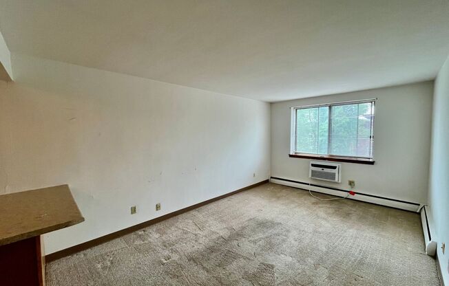 2 beds, 1 bath, $1,295, Unit 306