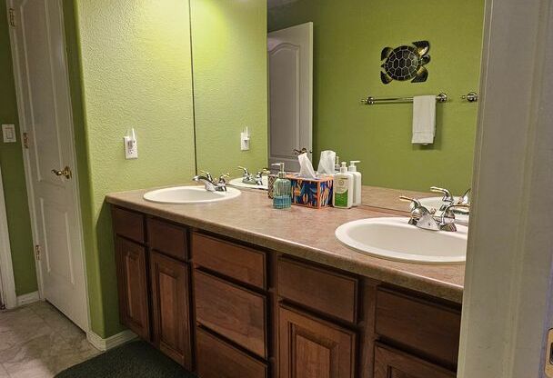 Beautiful 4 Bedroom Wolf Ranch Home