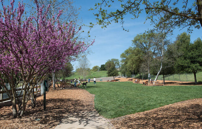 a park with a picnic table and a playground in the background  at Falcon Bridge at Gale Ranch, San Ramon, 94582