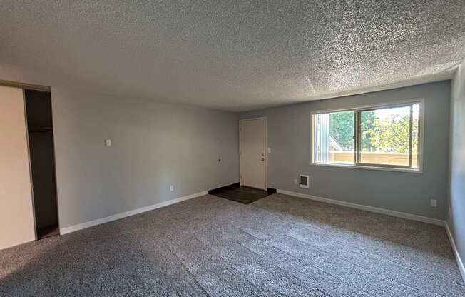 A room with a carpeted floor and a window with blinds.
