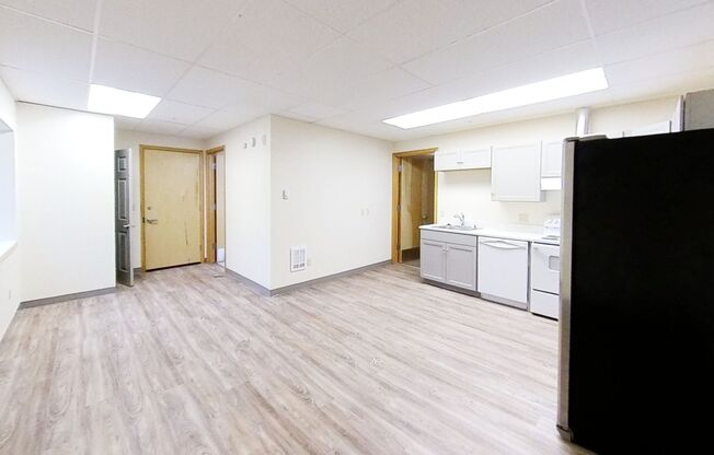 Studio, 1 bath, 500 sqft, $1,595, Unit P201