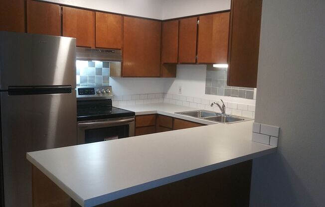 1 bed, 1 bath, 700 sqft, $1,250