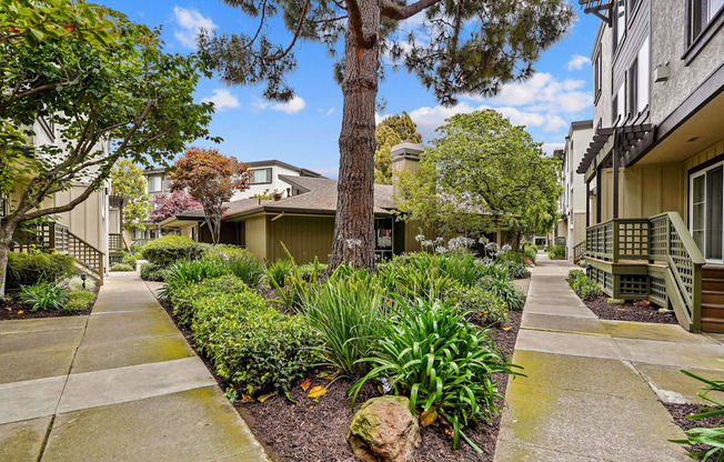 a sidewalk with trees and plants in front of a building