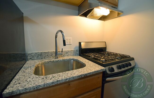 Studio, 1 bath, 266 sqft, $1,325, Unit 7456-3E