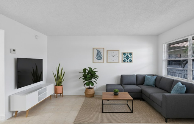 1 bed, 1 bath, 650 sqft, $1,499