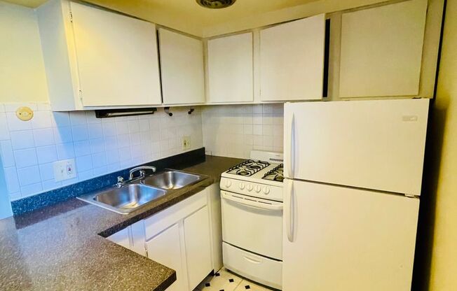 Studio, 1 bath, 450 sqft, $1,295, Unit 535-150