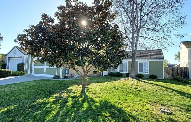 Rare 3 Bed / 2 Bath with Huge Backyard!