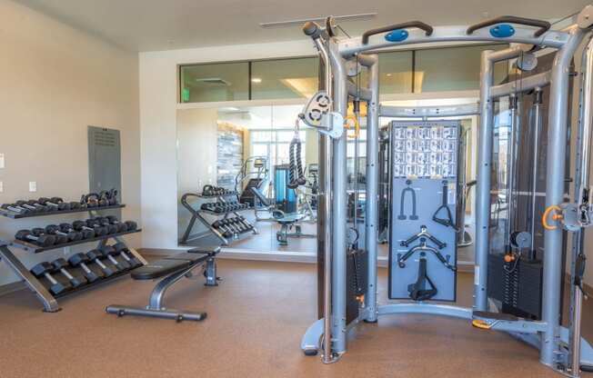 Weight machines and free weights in fitness center