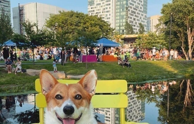 1 bed, 1 bath, 702 sqft, $3,000, Unit 324