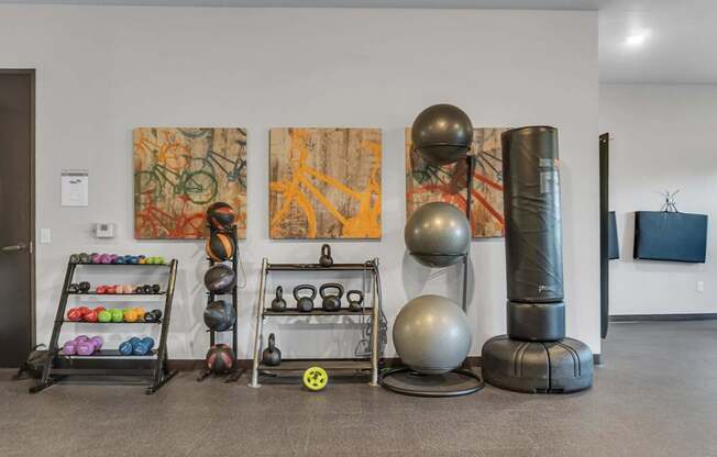A room with a variety of exercise equipment including kettlebells, a medicine ball, and a weight rack.