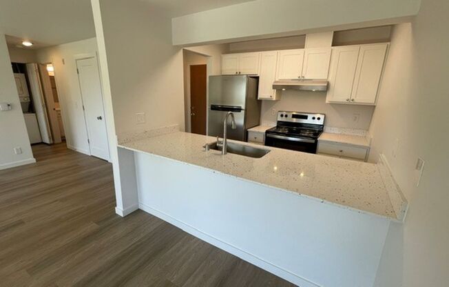 (1K) Kristine Apartments