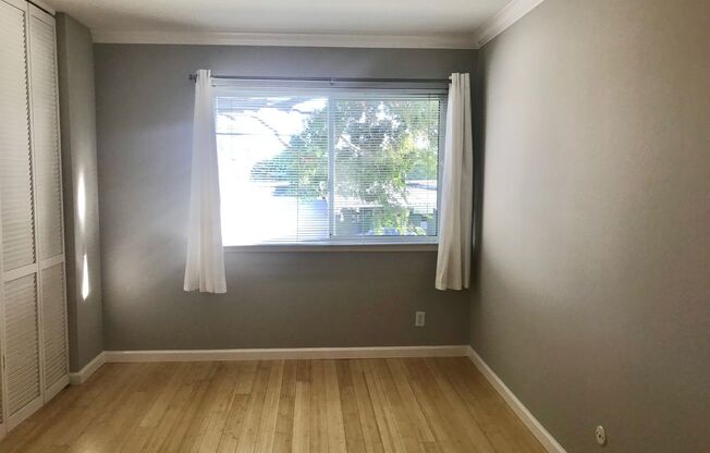 1 bed, 1 bath, 595 sqft, $2,895, Unit 203