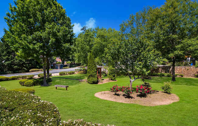 a park with green grass and trees