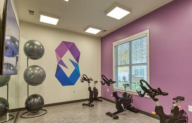 Peloton Bike And Training Space at Sapphire at Centerpointe, Virginia, 23114